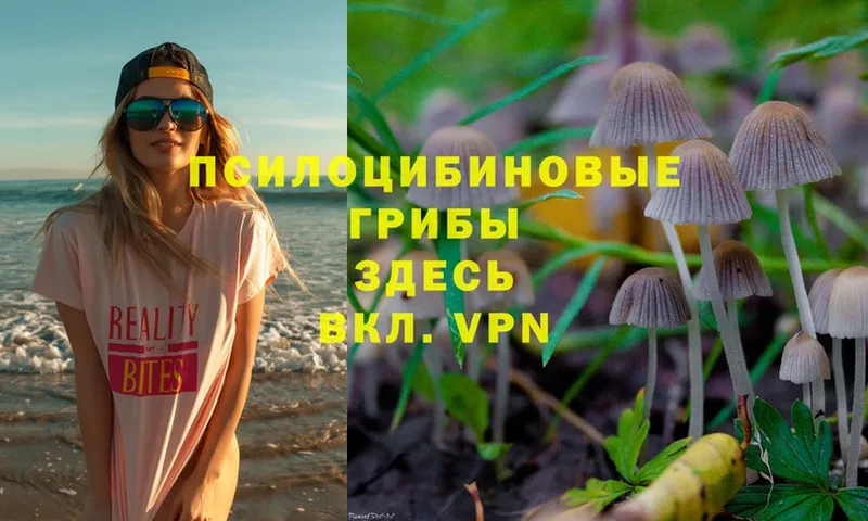 Псилоцибиновые грибы Psilocybine cubensis  ссылка на мегу tor  Лениногорск 